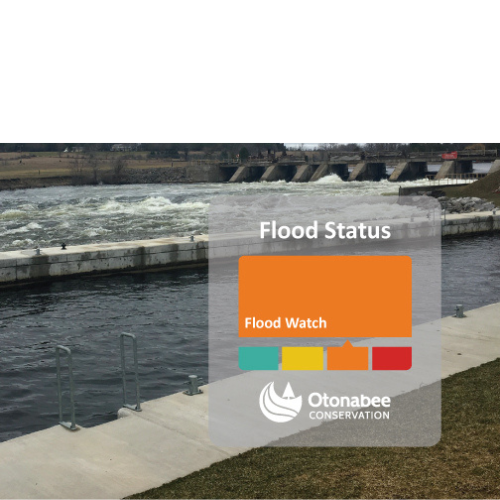 Image of THIS FLOOD MESSAGE HAS EXPIRED (2)