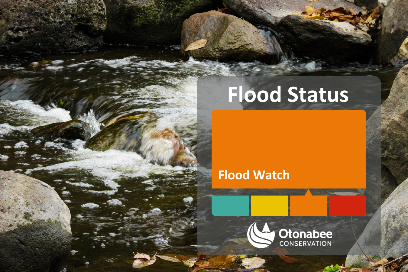 Image of THIS FLOOD MESSAGE HAS EXPIRED (1)