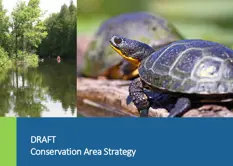 Conservation Area Strategy - DRAFT